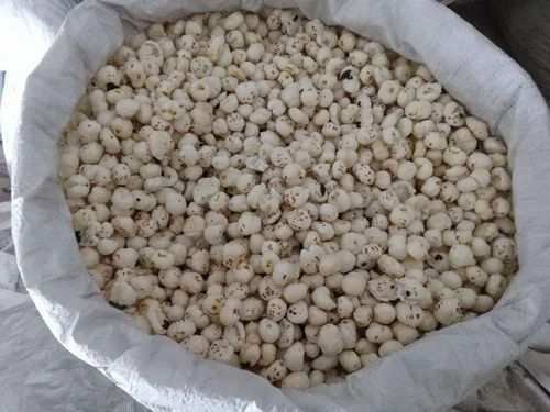 handmade-craft-arrivals1